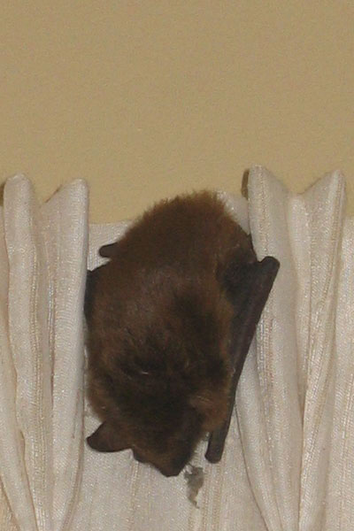 IMG_1360crop