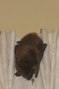 IMG_1360crop