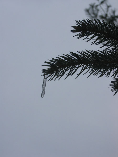 IMG_1616