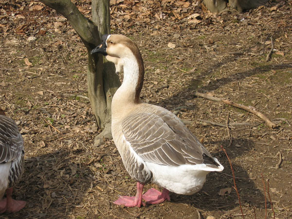 IMG_1709