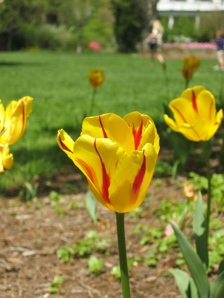 IMG_2139