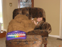 IMG_2231a