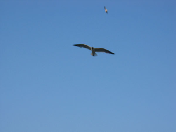IMG_3303