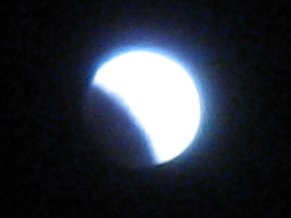 IMG_1030crop