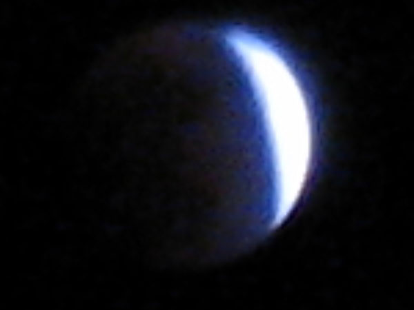 IMG_1038crop