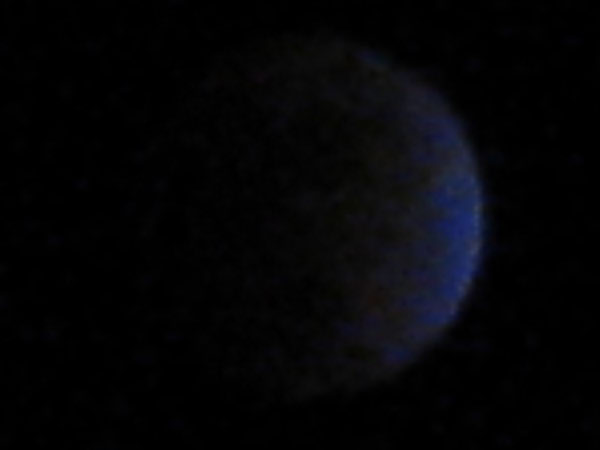 IMG_1042crop
