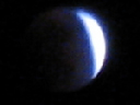 IMG_1038crop