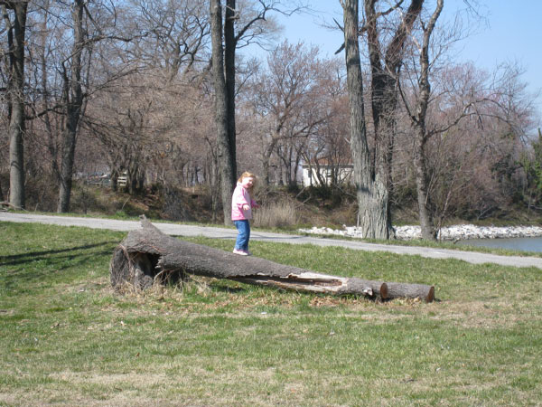 IMG_1599