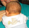 IMG_0448.JPG (200268 bytes)