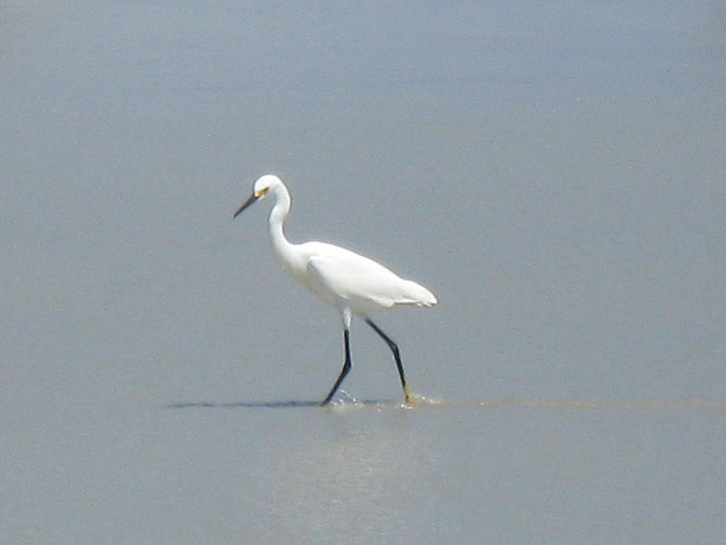 IMG_3665crop