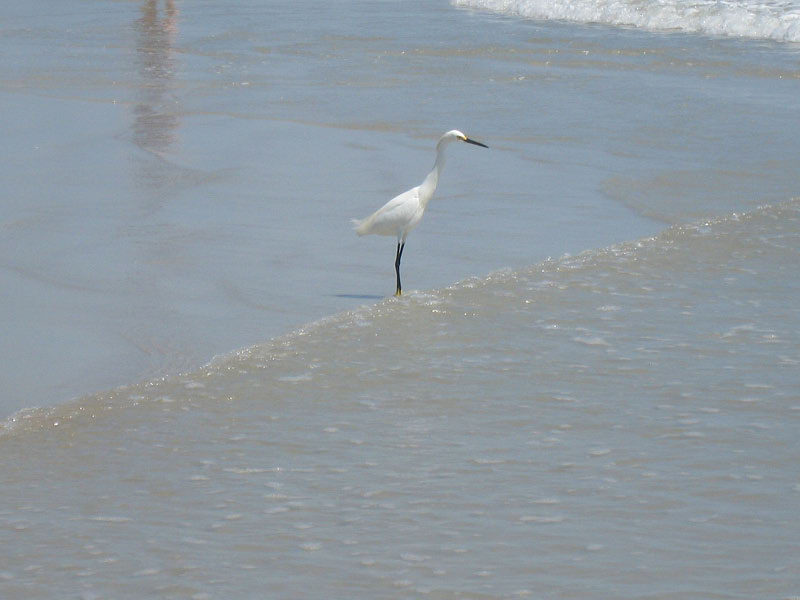IMG_3666crop