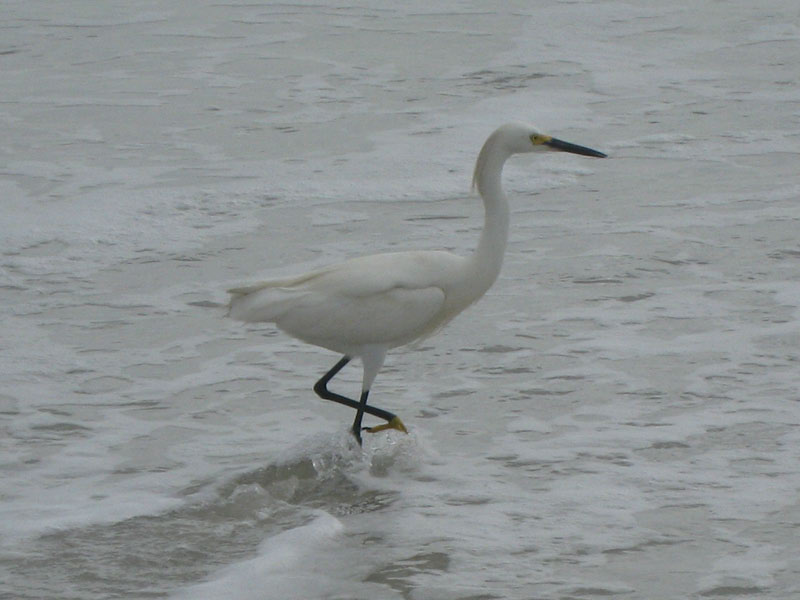 IMG_3802crop