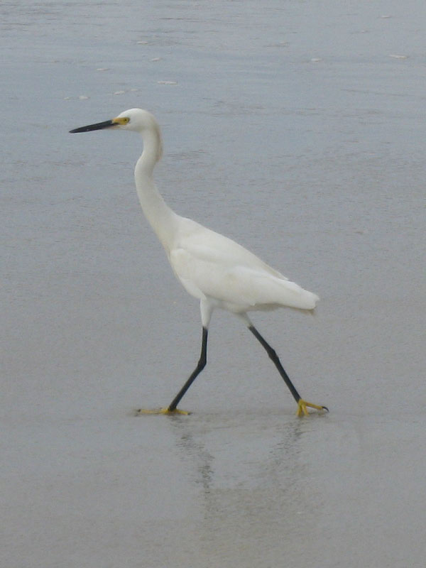 IMG_3805crop