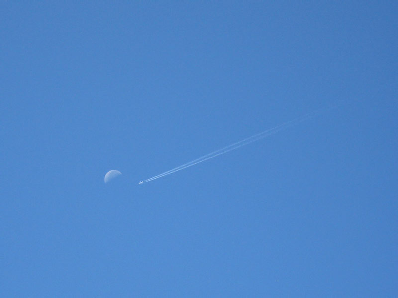 IMG_3907crop