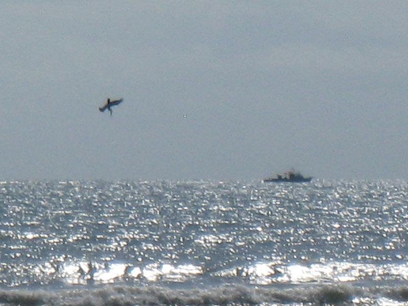 IMG_4044crop