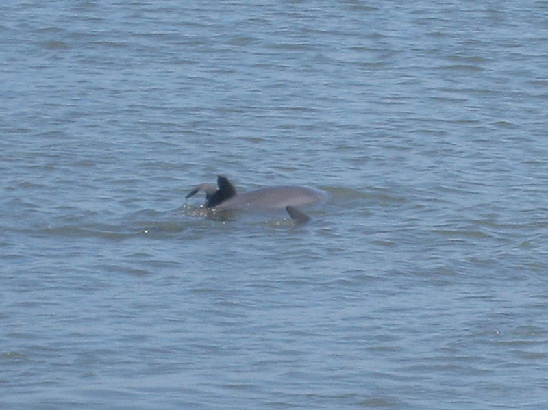 IMG_4110crop