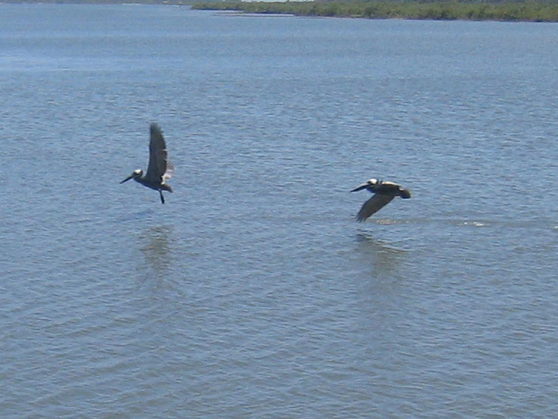 IMG_4116crop