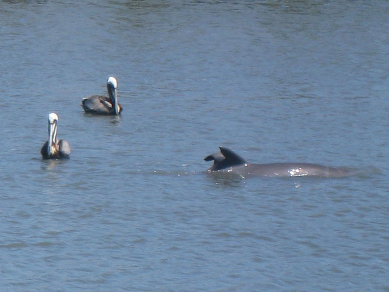 IMG_4119crop