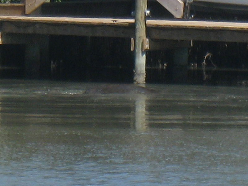 IMG_4183crop