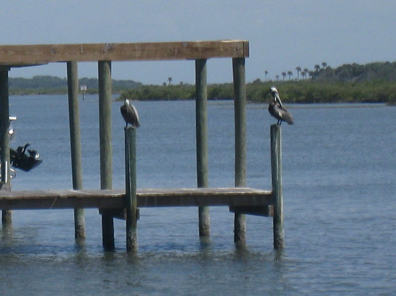 IMG_4206crop