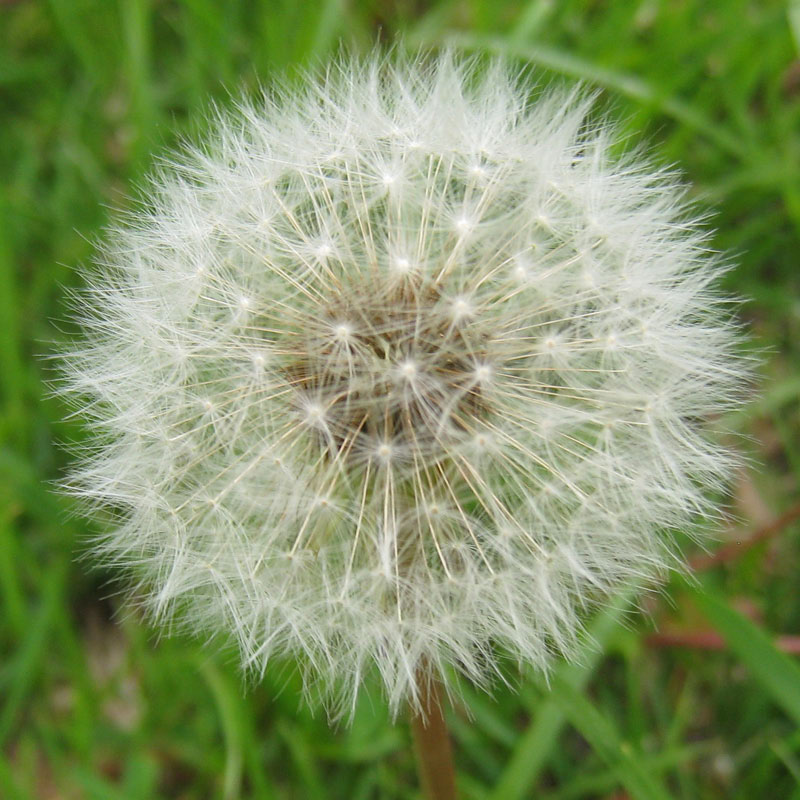 IMG_2686crop