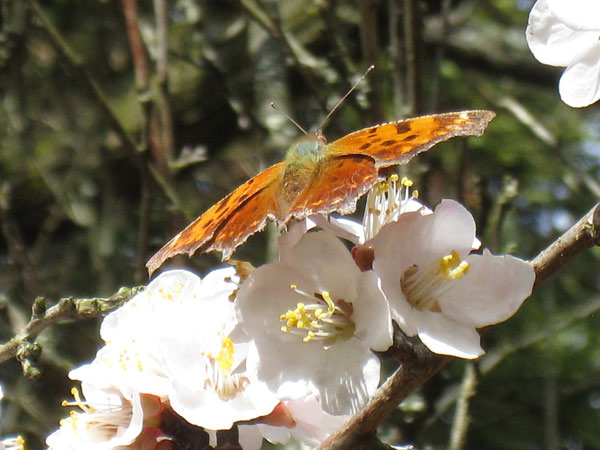 IMG_1750crop