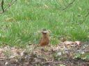IMG_2005crop