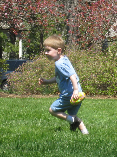 IMG_2426crop