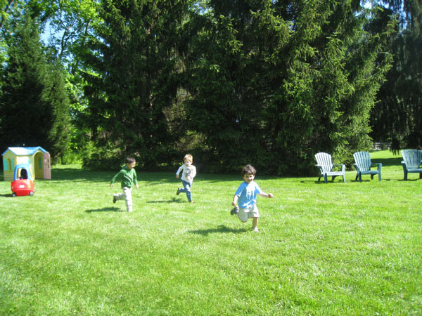 IMG_3362