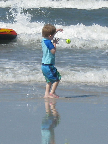 IMG_3456crop