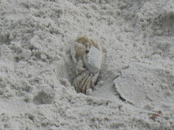 IMG_3832crop