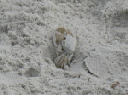 IMG_3832crop