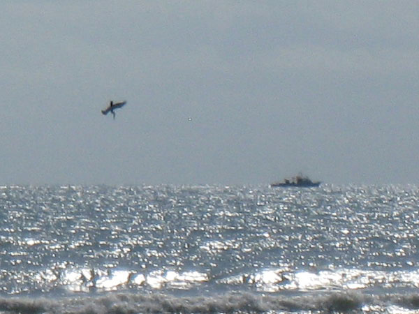 IMG_4044crop