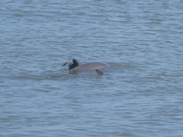 IMG_4110crop