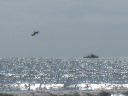 IMG_4044crop