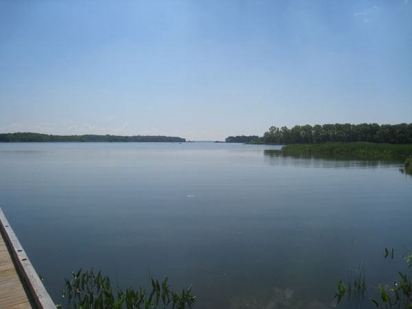 IMG_5173