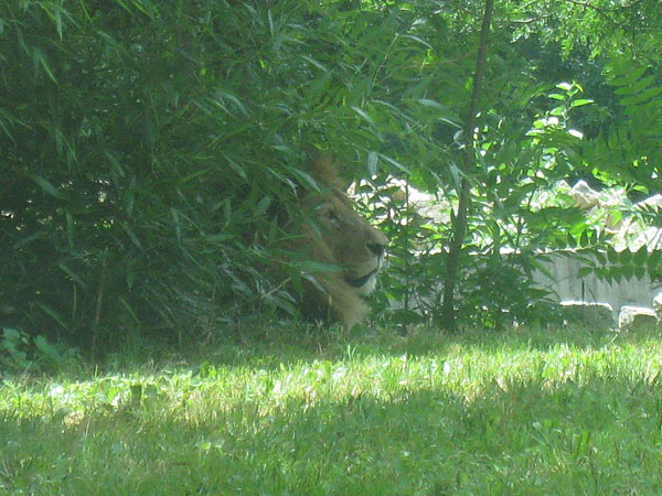 IMG_5344crop