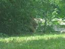 IMG_5344crop